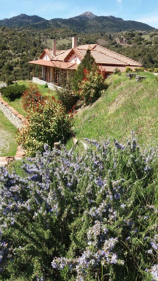 Agropoli Hotel Nimfasía Exterior foto